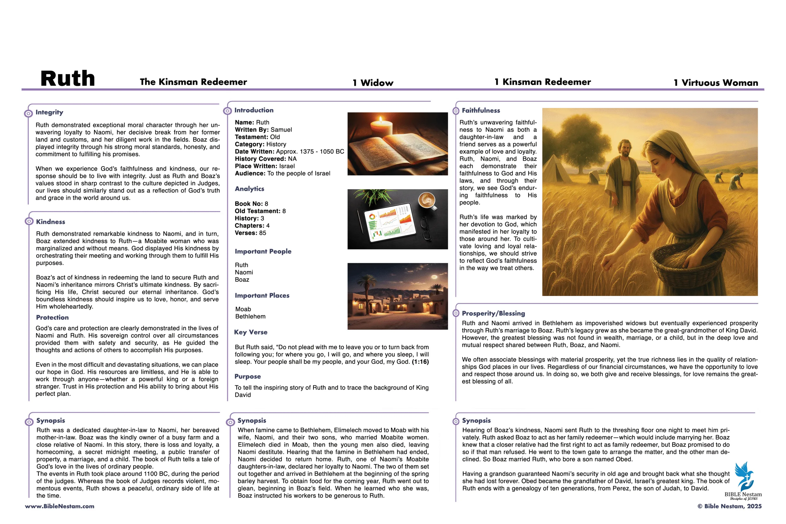 Visual Insights into the Bible - English New Edition - Image 5