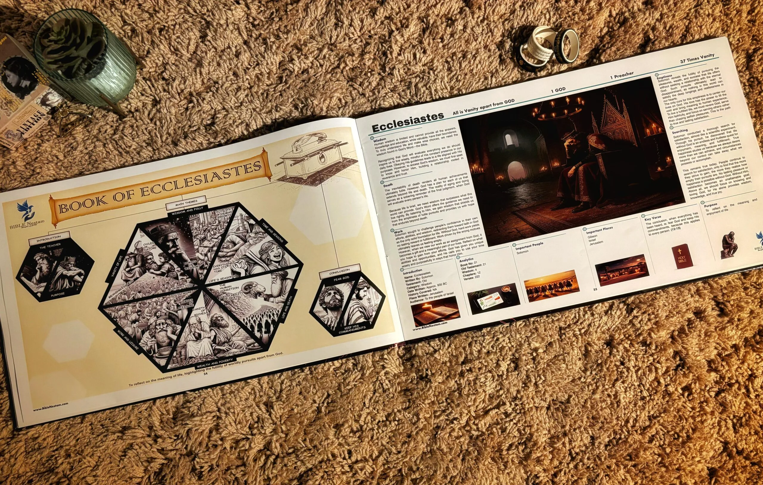 Visual Insights into the Bible - English New Edition - Image 11