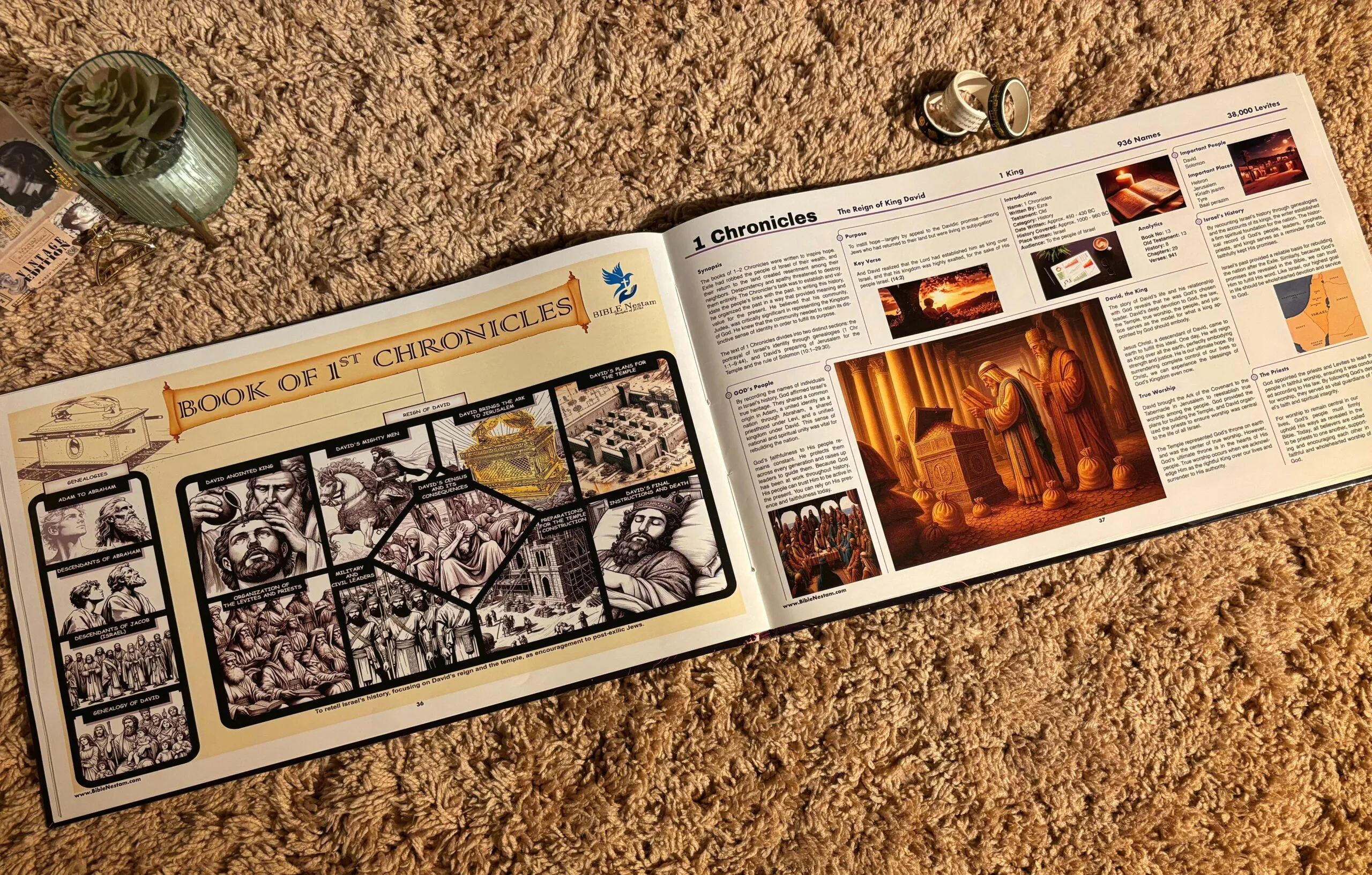 Visual Insights into the Bible - English New Edition - Image 19